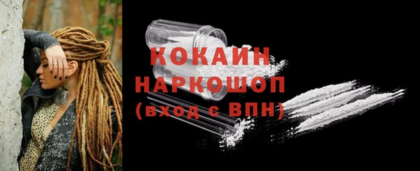 крисы Няндома