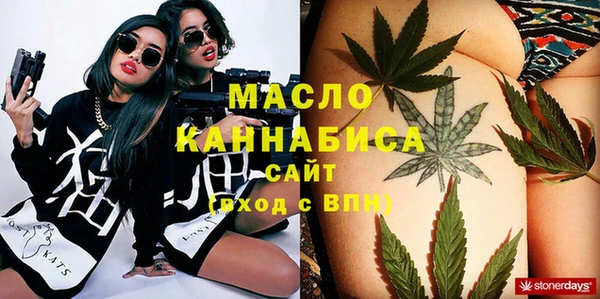 крисы Няндома