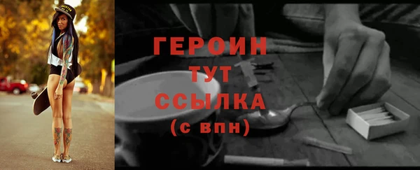 крисы Няндома