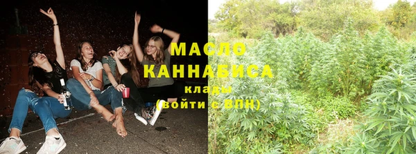 крисы Няндома