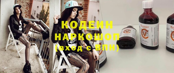 индика Новозыбков