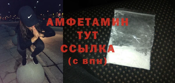 крисы Няндома