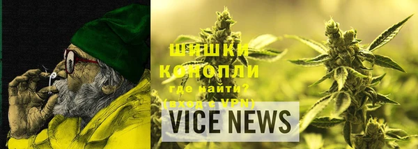 крисы Няндома