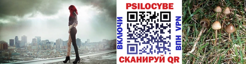 Галлюциногенные грибы MAGIC MUSHROOMS  купить  цена  Новозыбков 