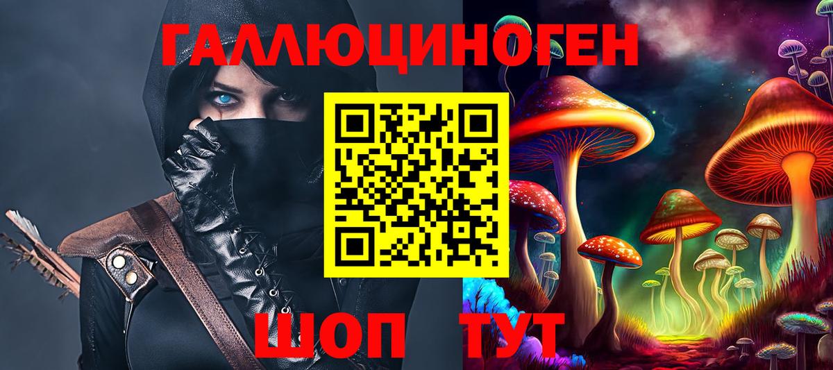 Псилоцибиновые грибы Cubensis Новозыбков