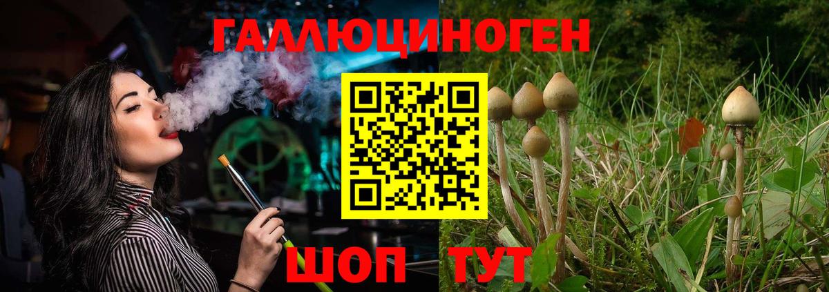 Псилоцибиновые грибы Psilocybe  Галлюциногенные грибы Cubensis  Вход с VPN  Новозыбков 