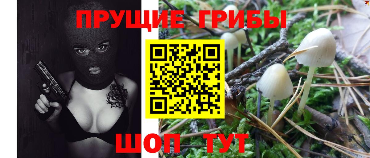 МАРИХУАНА Новозыбков