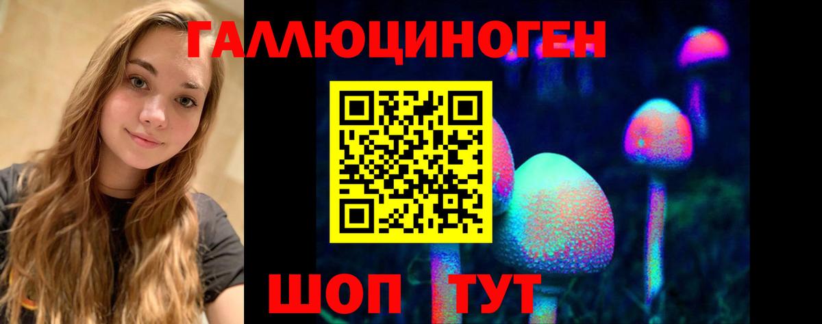 Галлюциногенные грибы GOLDEN TEACHER  Псилоцибиновые грибы Magic Shrooms  Новозыбков 
