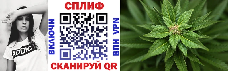 купить наркотики цена  Новозыбков  Каннабис AK-47 